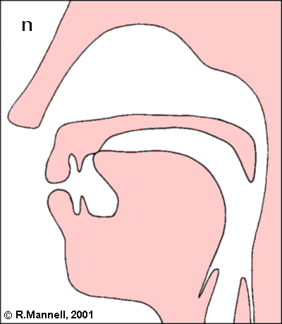 phonology at emaze Presentation