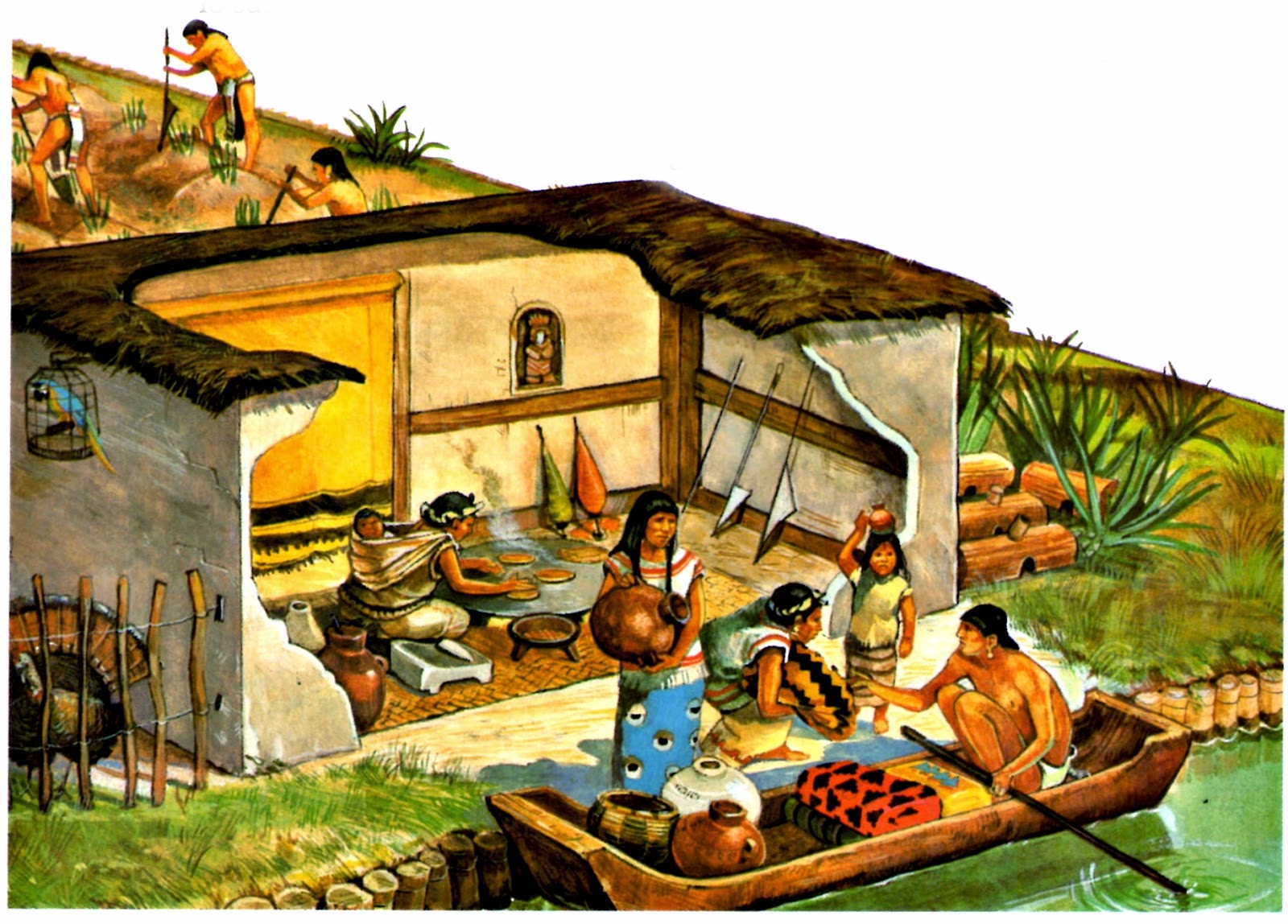Быт в египте. Чинампы ацтеков. Жилище земледельцев в древнем Египте. Дом земледельца в древнем Египте внутри. Ацтеки земледелие.