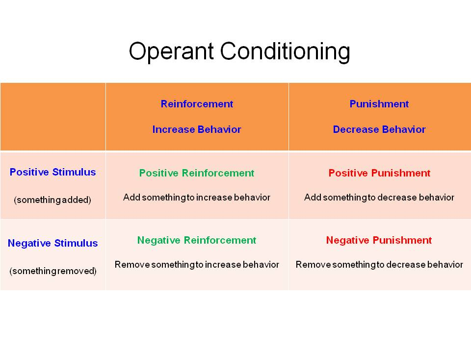 Operant conditioning. Positive and negative punishment. Positive and negative reinforcement. Reinforcement and punishment.