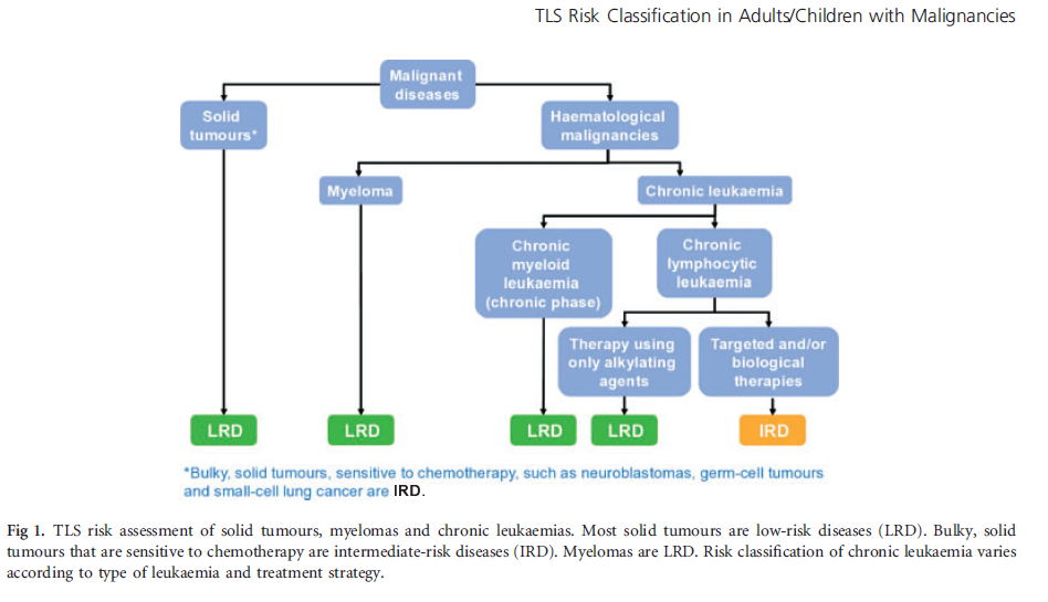 Tls Grading Tumor Lysis Syndrome- Oncology Emergency.pptx on emaze