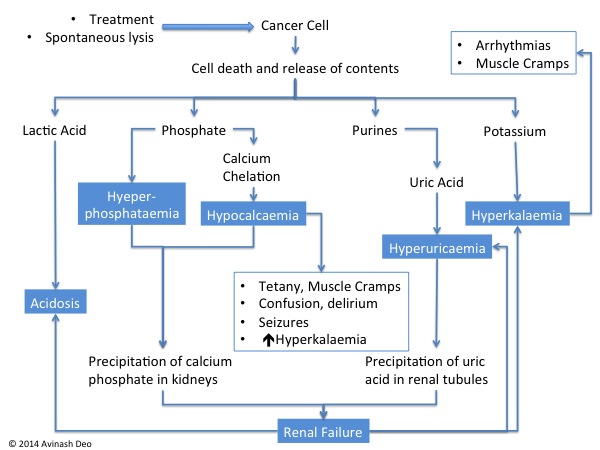 Tumor Lysis Syndrome- Oncology Emergency.pptx At Emaze Presentation