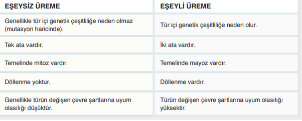 Eseyli Ve Eseysiz Ureme By Ozviranfatima On Emaze