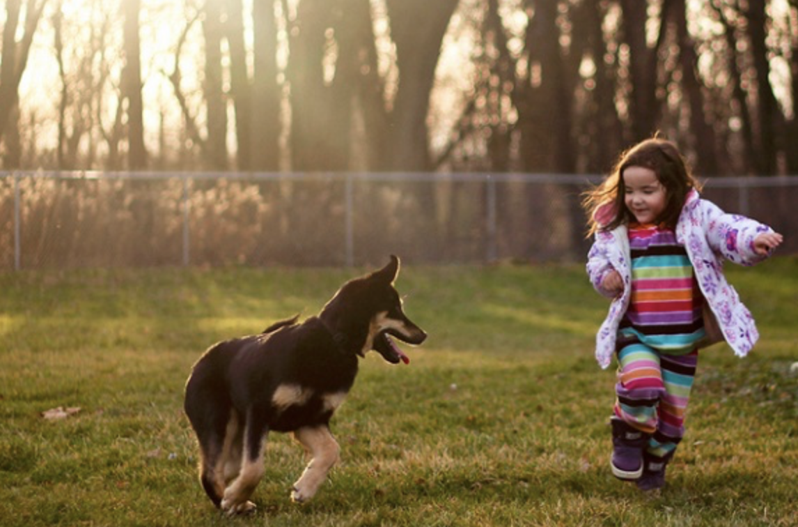 Dog child. Девочка играет с собакой. Ребенок бегает с собакой. Ребенок играет с собакой. Девочка бежит за собакой.