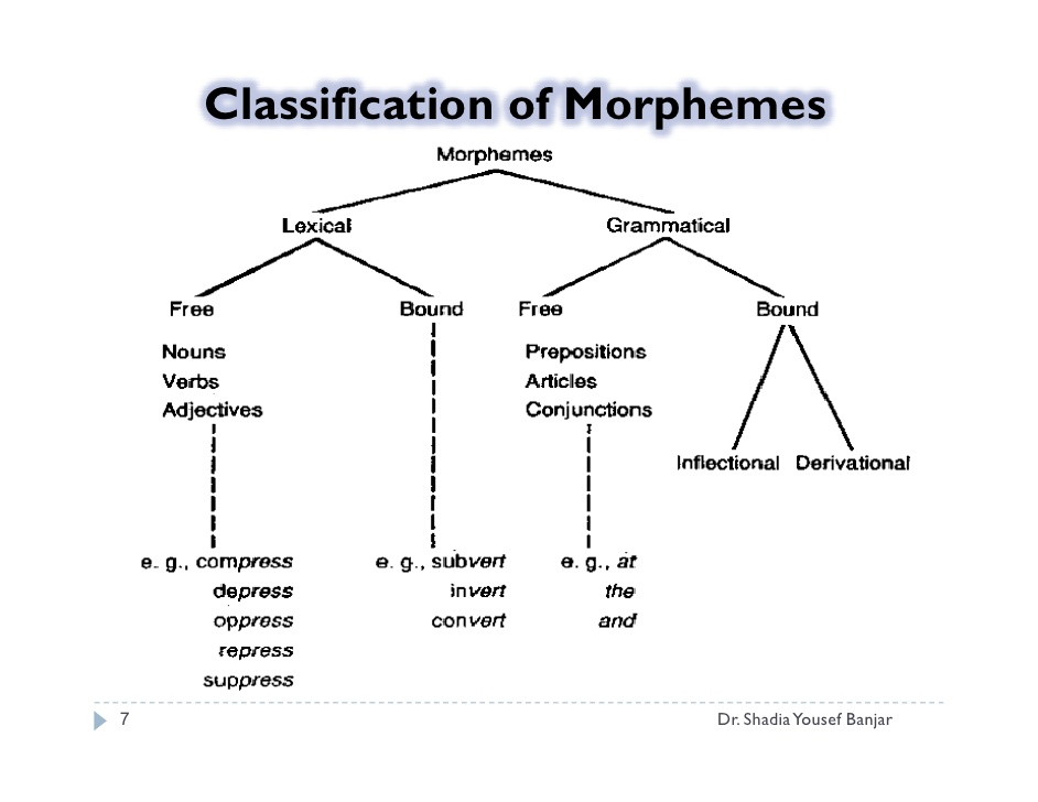 Type randomstring type. Affixal Morpheme. Classification of Morphemes. Morphemes in English. Traditional classification of Morphemes.