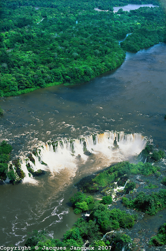 The Tropical Rainforest!!!! On Emaze