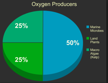 how much oxygen does artillery plant produce