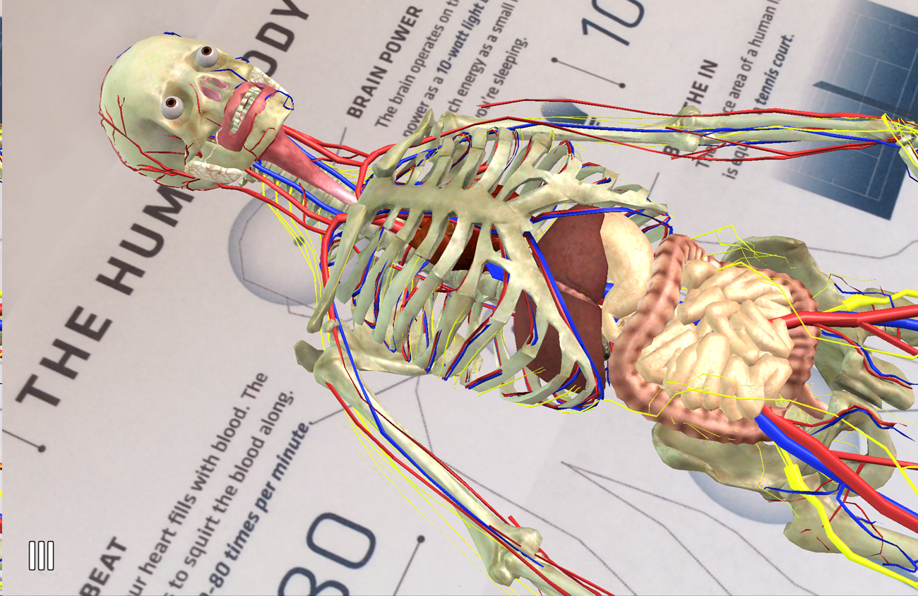 Современная анатомия. Анатомия 4д. Механическая анатомия. Anatomy 4d картинки.