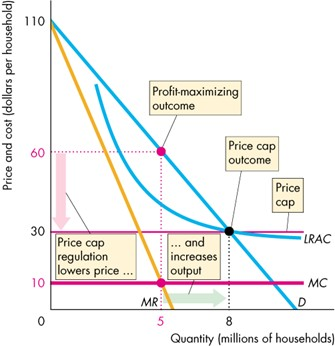 Natural Monopolies