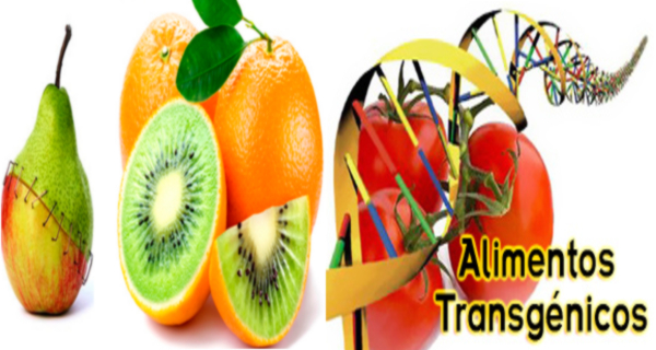 ALIMENTOS TRANSGENICOS on emaze