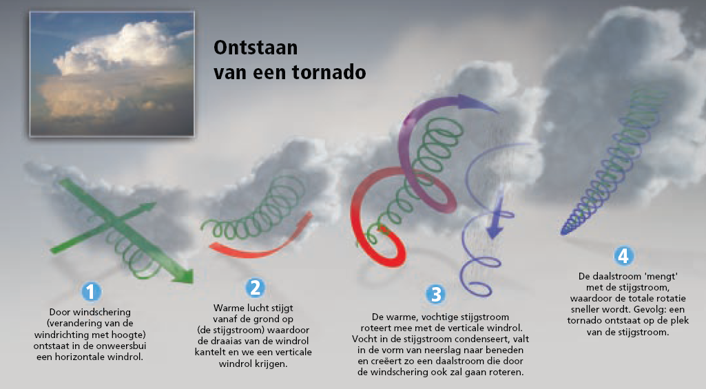 Tornado Twists упражнение