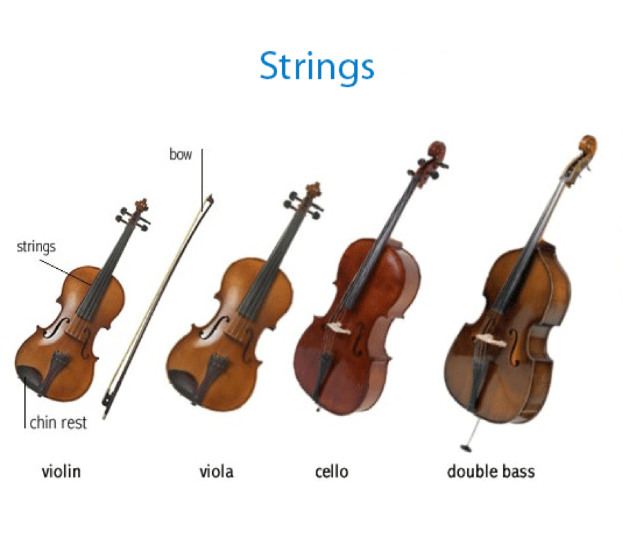 Струнно-смычковые инструменты симфонического оркестра. Струнные смычковые инструменты Альт. Струнно смычковые инструменты контрабас. Альт струнные смычковые музыкальные инструменты.