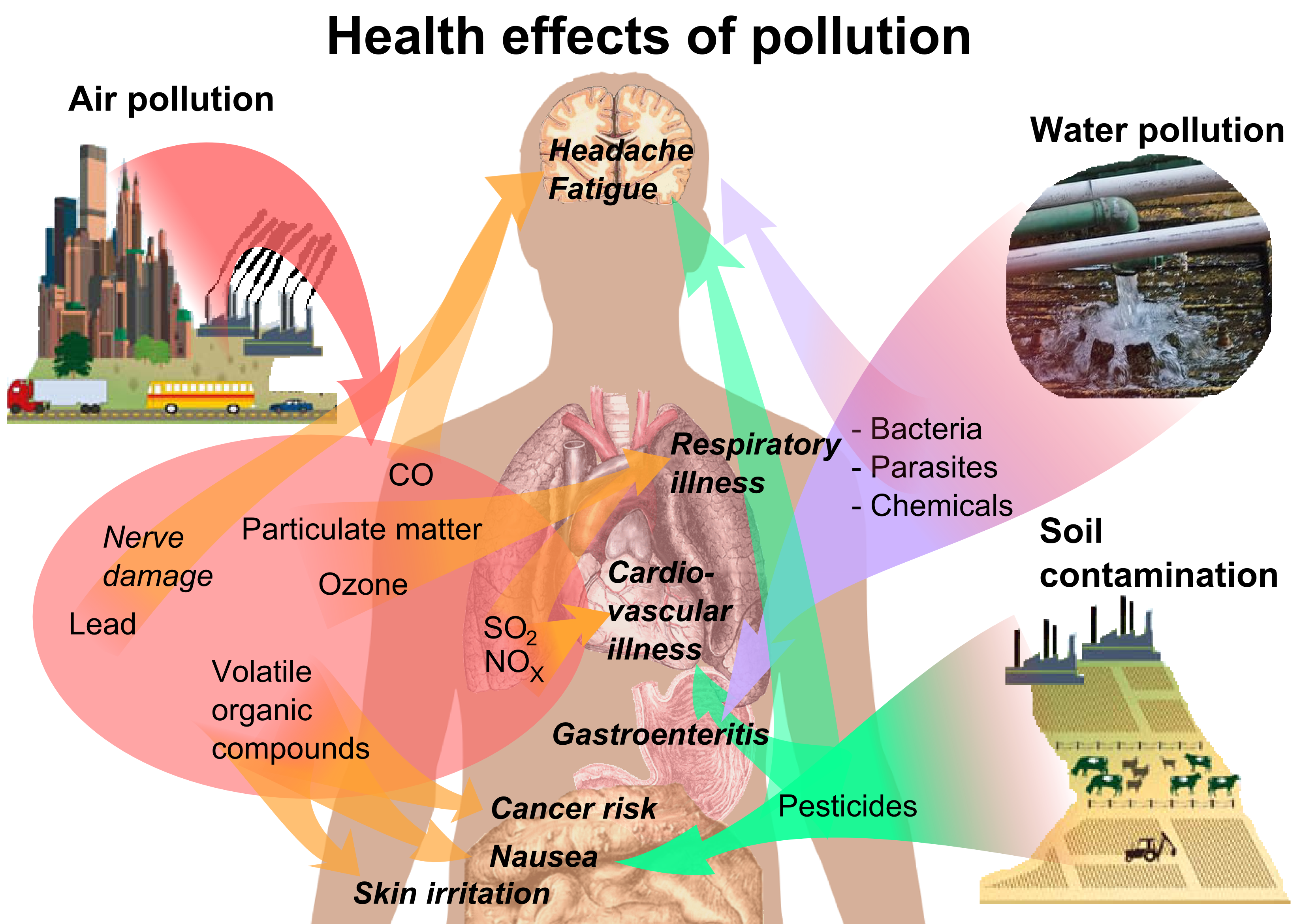 ela-pollution-on-emaze