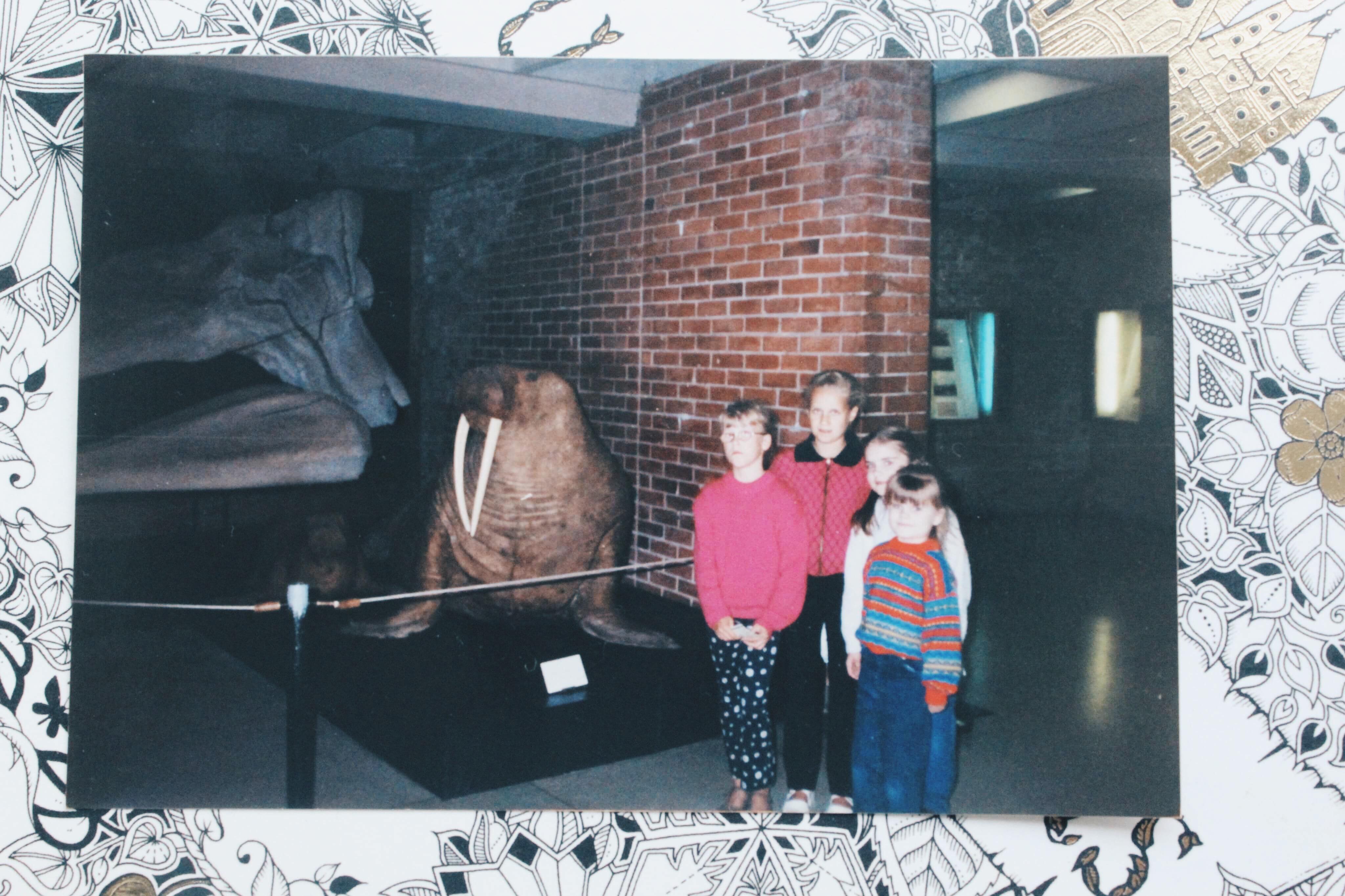 Klaipėda copy1 on emaze