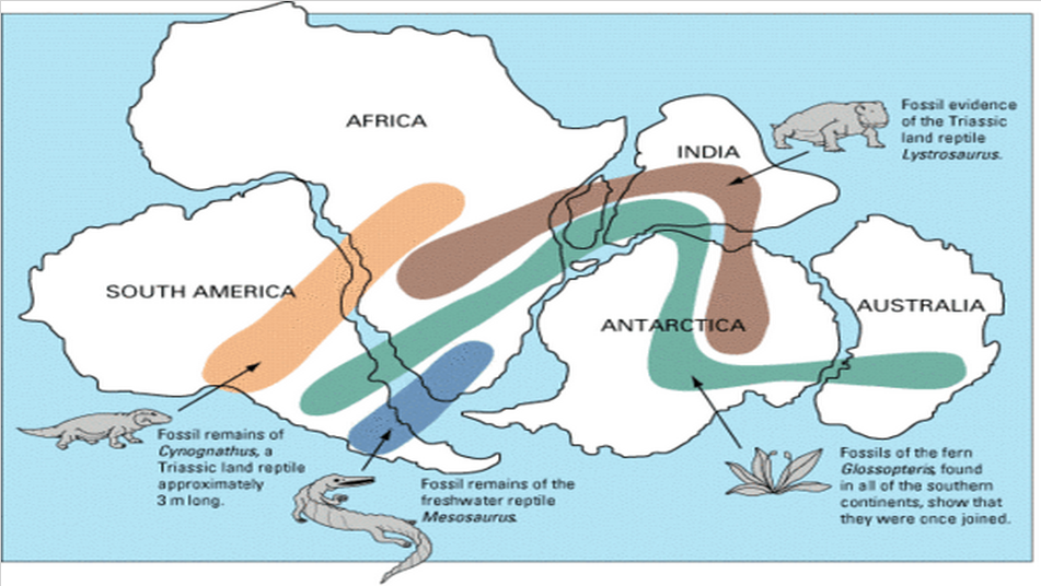 The Continental Drift Theory on emaze