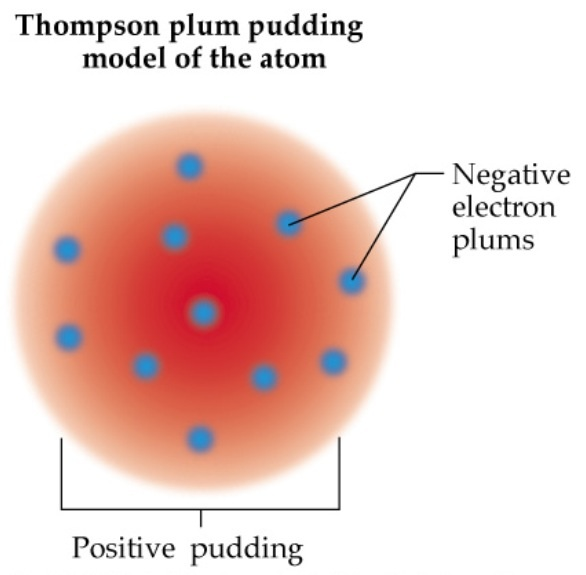 raisin pudding model
