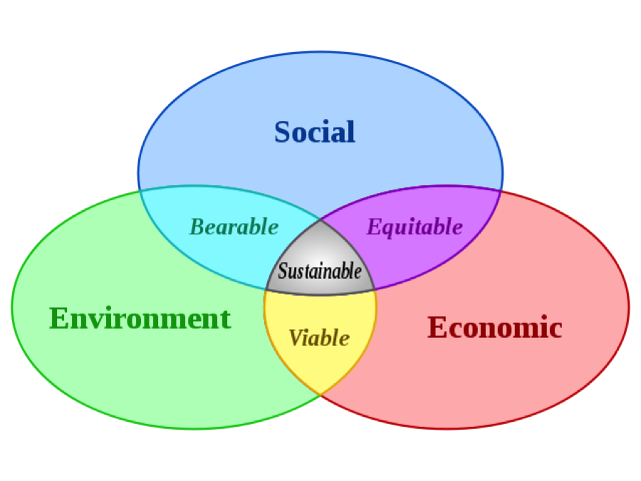 environmental-issues-in-business-on-emaze