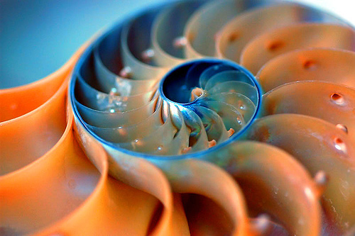 Fibonacci Sequence on emaze