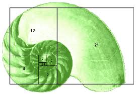 Fibonacci Sequence on emaze
