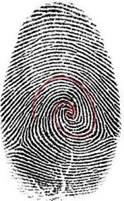 Fibonacci Sequence on emaze