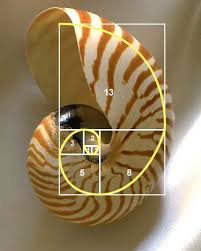 Fibonacci Sequence on emaze