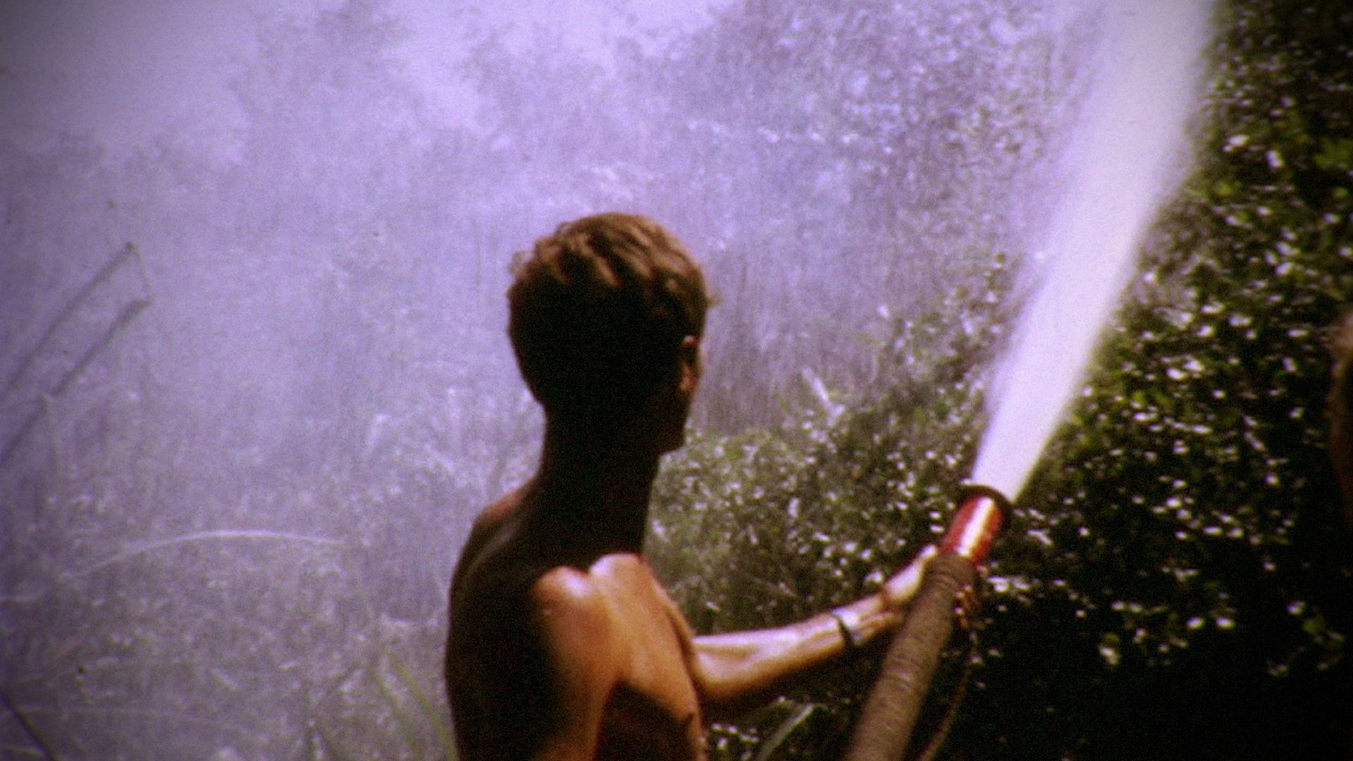Agent Orange's effect on health on emaze