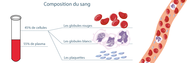 Sang du. 7s Sang Sang фикиок. Le don du Sang. Sing. Gliomemr Sang.