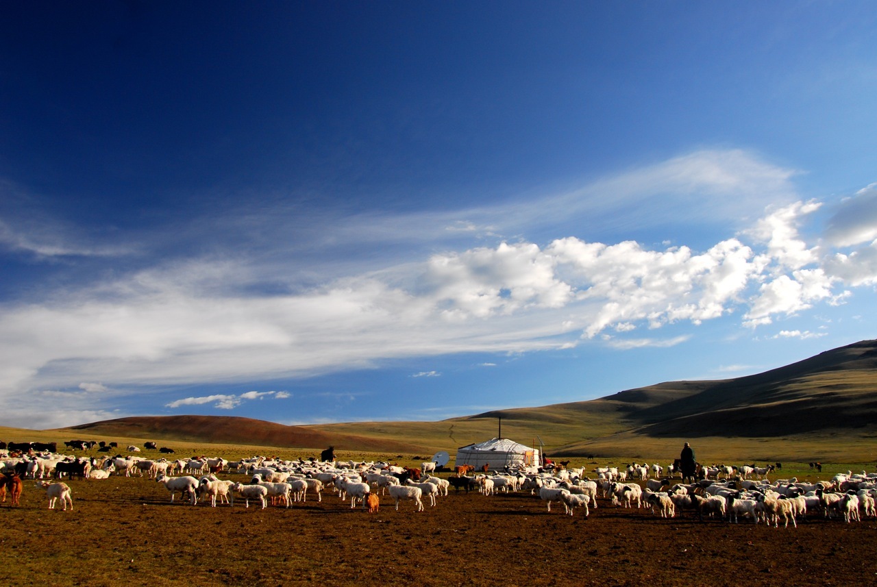 Монголия самое главное. Монголия wikiway. Ферик Монголия. Монголия парк Хустайн нуруу. Монголия в 2006 году.
