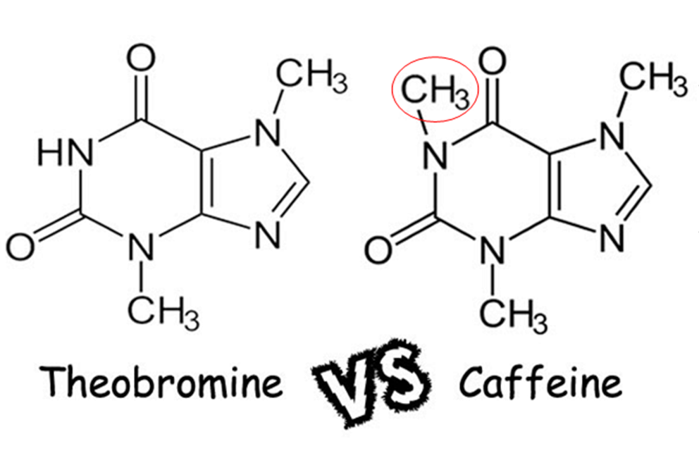 Chemistry Chocolate On Emaze