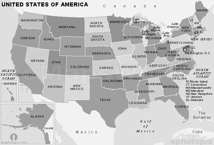 Карта США со Штатами черно белая. Карта США со Штатами белая. Черные штаты США. США штаты чб.