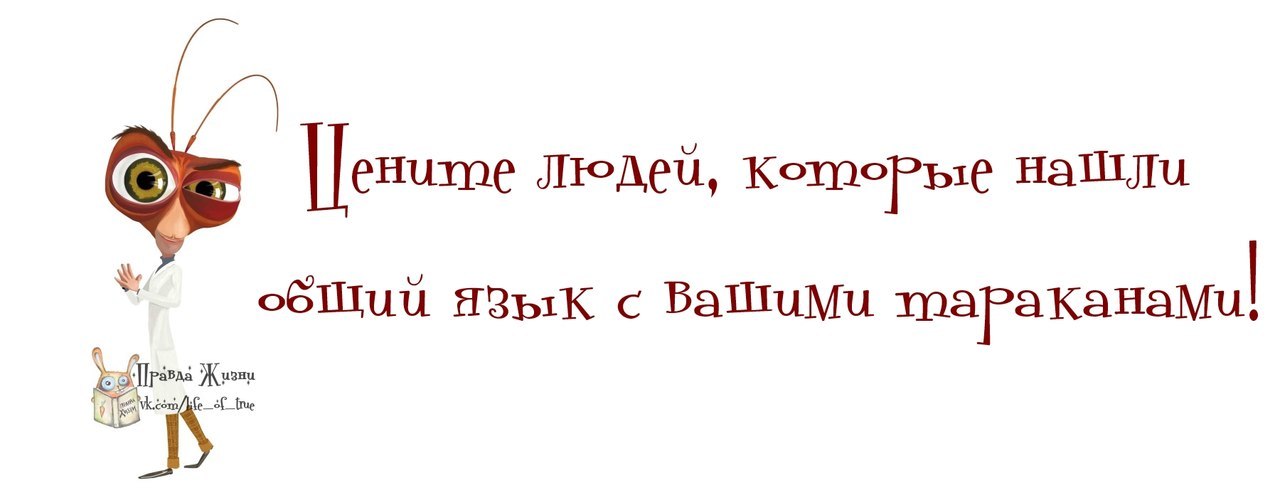 Находить общий язык. Найти общий язык прикол. Искать общий язык. Общий язык юмор. Цитаты про общий язык.