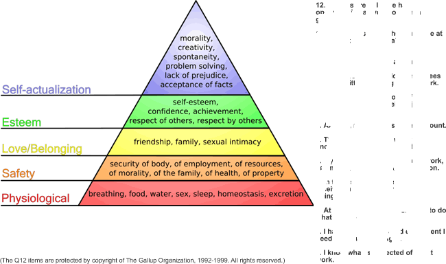 human relations on emaze