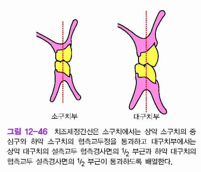 7주차 on emaze