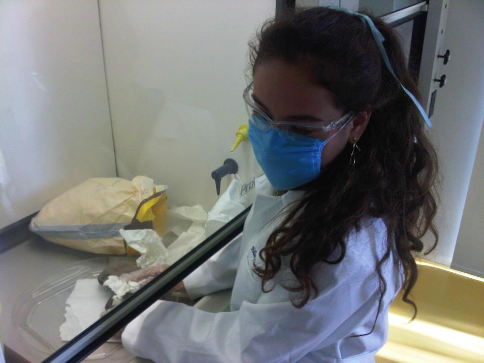 forensic-medical-examiner-on-emaze