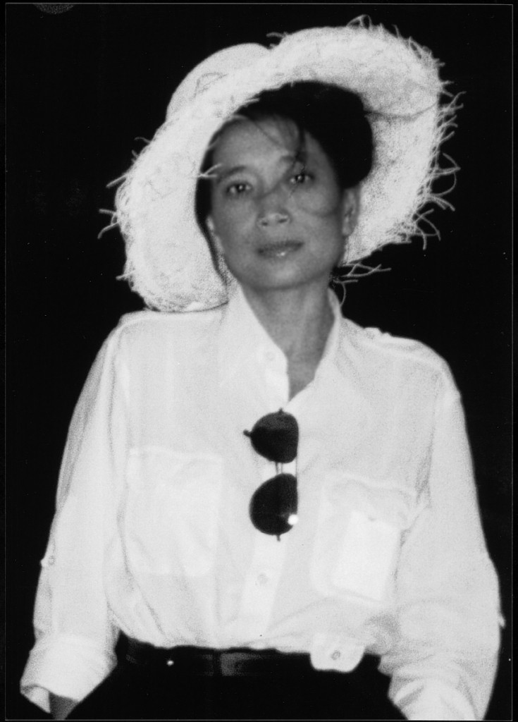 дикие лебеди юн чжан