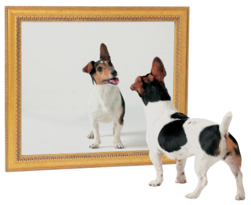 espejos planos y esfericos at emaze Presentation