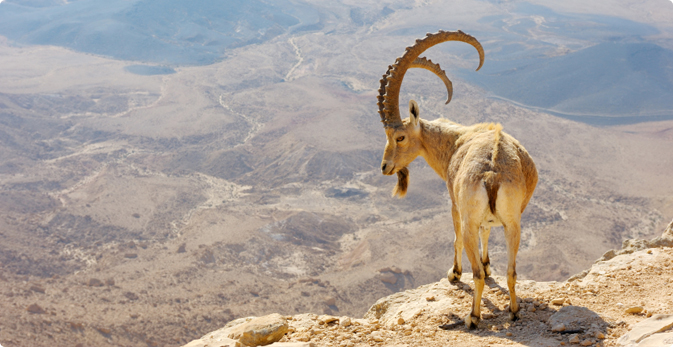 ת××× × ×§×©×ר×