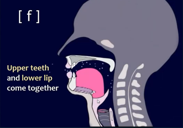 The Sounds of Language on emaze