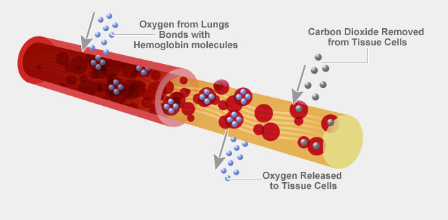Инъекции частиц кислорода презентация. Инъекции частиц кислорода. Мельчайшие частицы углекислого газа. Инъекции частиц кислорода в организм человека. Красивые молекулы.