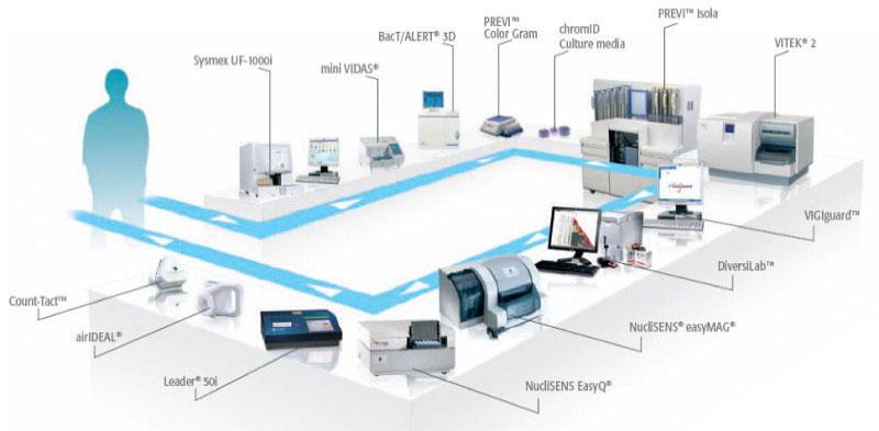 MIDDLEWARE LABORATORY CLINICAL at emaze Presentation