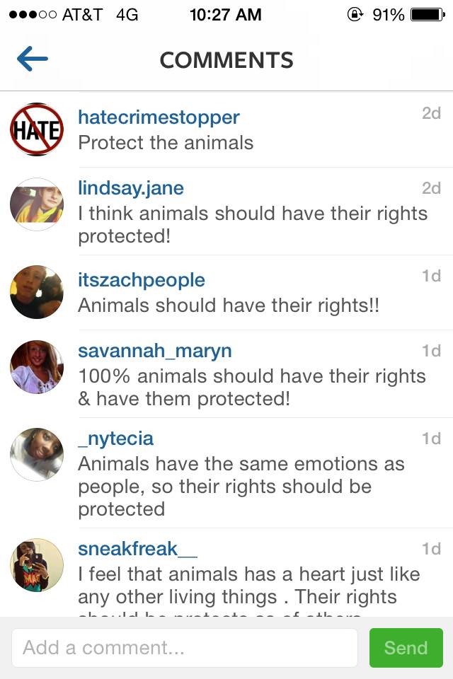 List Of Animal Rights _ Animal rights – YNAVHY