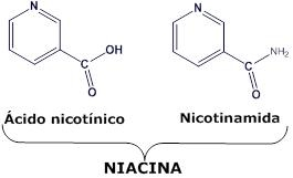 VITAMINAS Y HORMONAS On Emaze