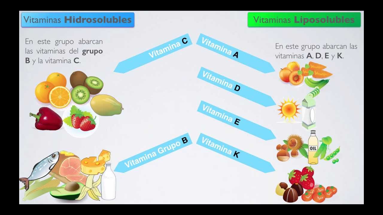 VITAMINAS Y HORMONAS On Emaze