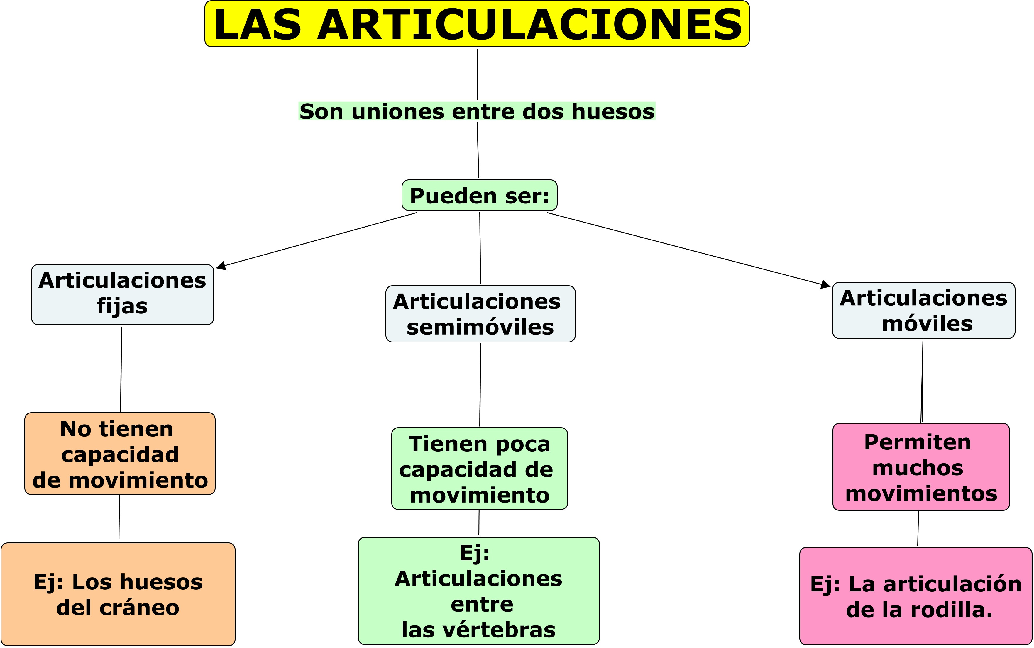 Cuerpo humano articulaciones