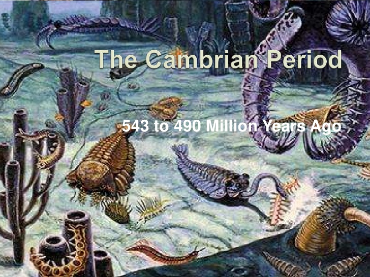 Precambrian period. on emaze