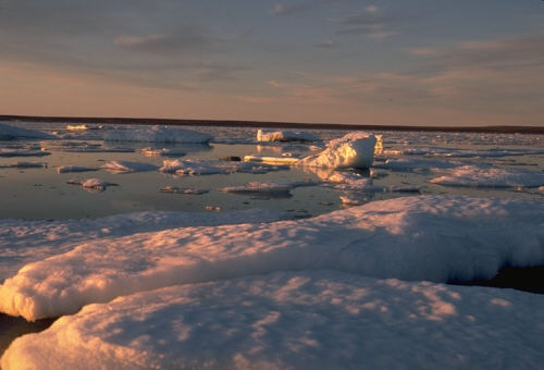 Arctic Lowlands at emaze Presentation