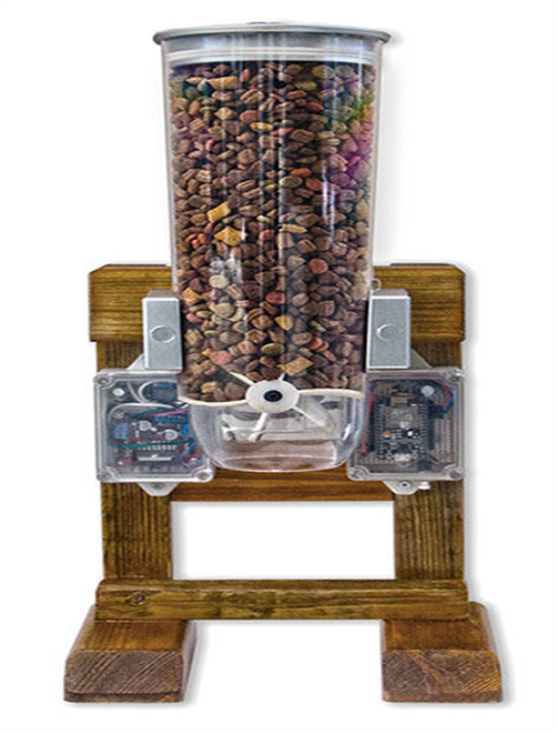 Under the Sea on emaze