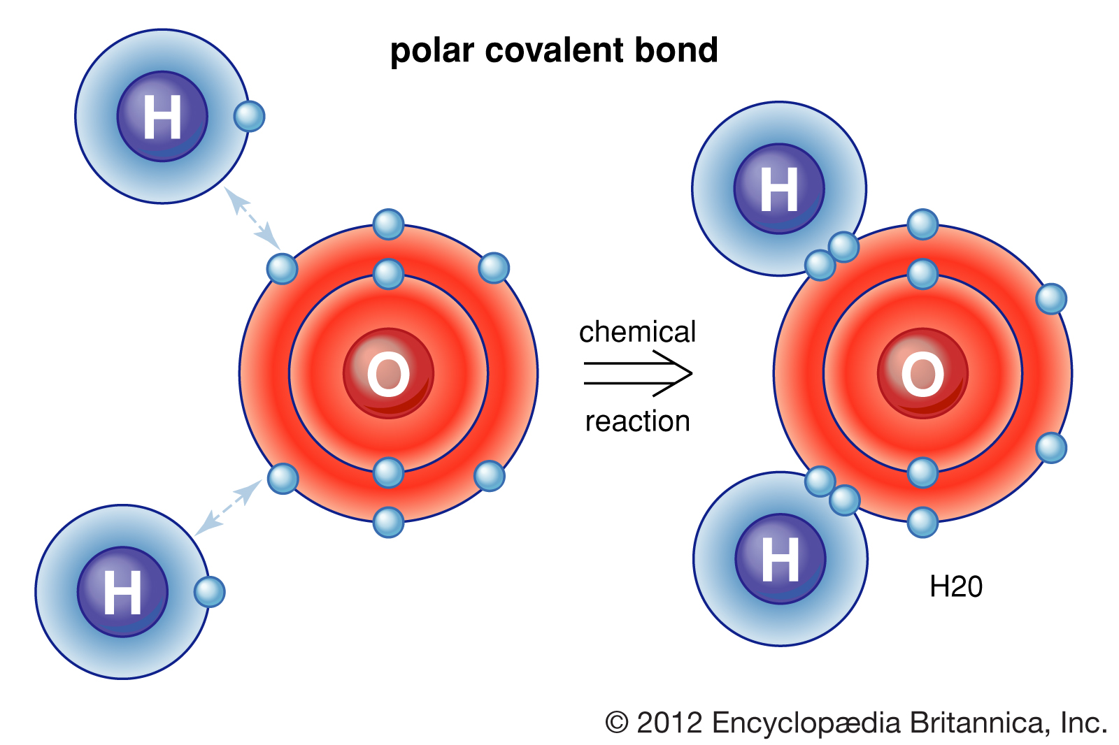 non-polar-molecules-examples-slideshare