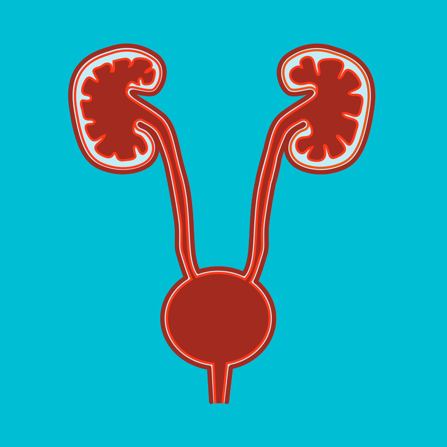 UNIDAD V. Capítulo 26: “Formación de la orina por los riñones: I.  Filtración glomerular, flujo sanguíneo renal y su control” – Ana Montejo,  Fisiología