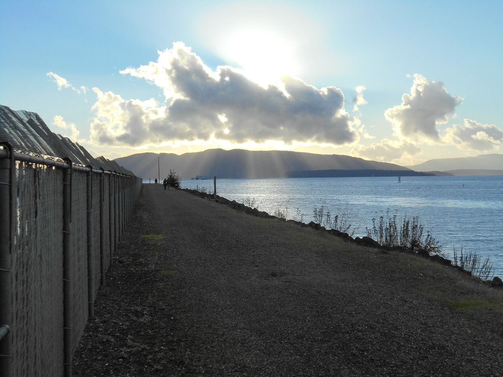 Georgia coast on emaze