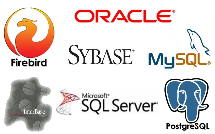 Firebird database server. Firebird MYSQL.